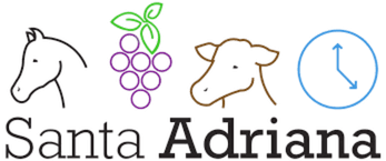 Logo de Santa Adriana