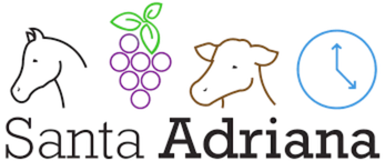 Santa Adriana